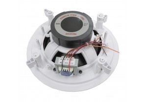 A820TMG: 8"  In-Ceiling Dual Cone Speaker W/ Separate Grill