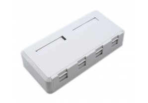 CAT-504: Four Port Surface Mount Box for Keystone Insert